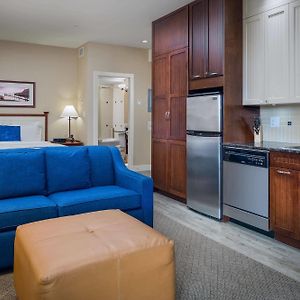 Queen Studio Bluff View